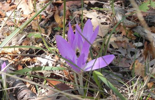 Agriturismo Sugheretello - Foto 50