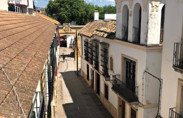 El rincón de Orive - Foto 25