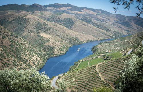 Casa da Muralha - Foto 76