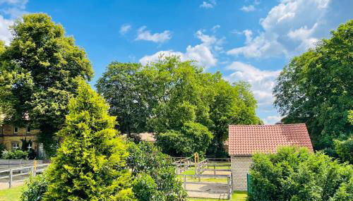Tohuus1875 - Foto 5, Garden, Garden view