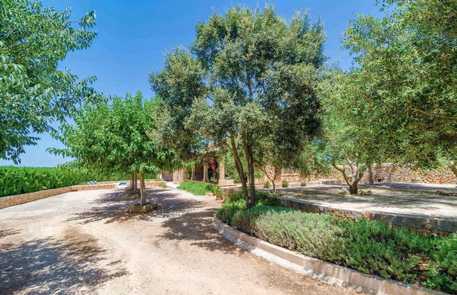 Aubadallet in Vilafranca de Bonany - Foto 30