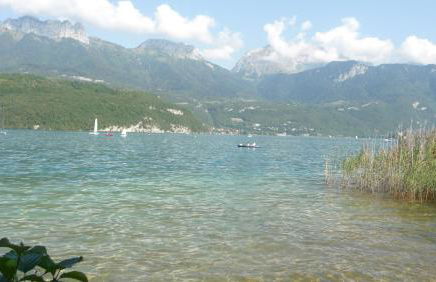 Le Rive Gauche - Photo 30