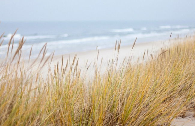 Charming Holiday Home With a Terrace - Photo 12