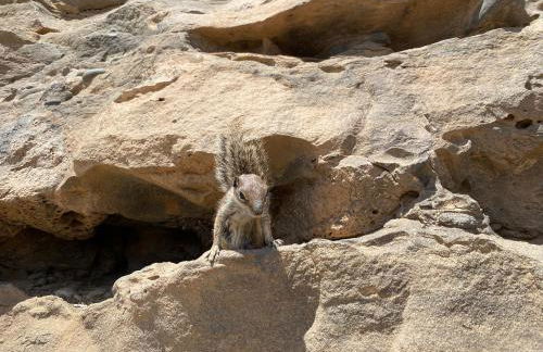 Casa Rosalía - Foto 40