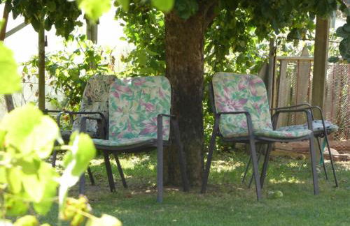 Ferienhof Selz - Foto 23