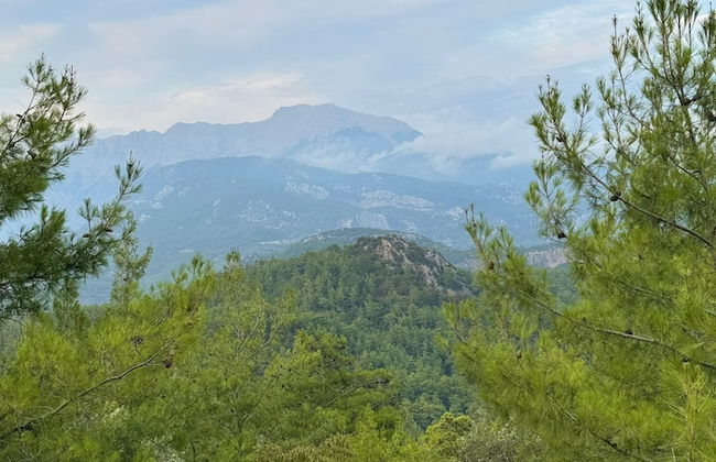 Antalya Bodrum Kayası Dağ Oteli - Foto 39