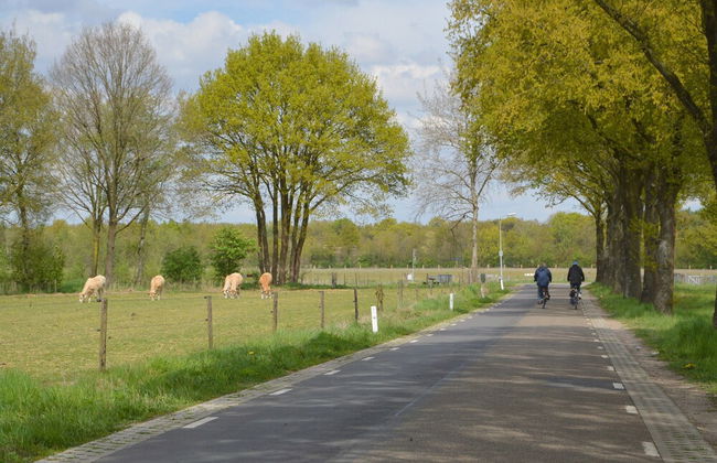 Dine & Unwind Vacation Spot - Photo 32