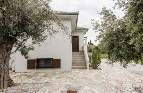 The Olive Home - Photo 31
