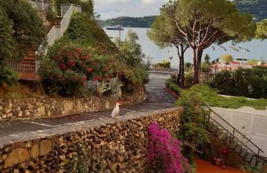 Olivo House 2 - Photo 1