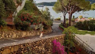 Olivo House 2 - Photo 1