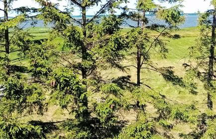 Willa Aleksandra - Photo 29