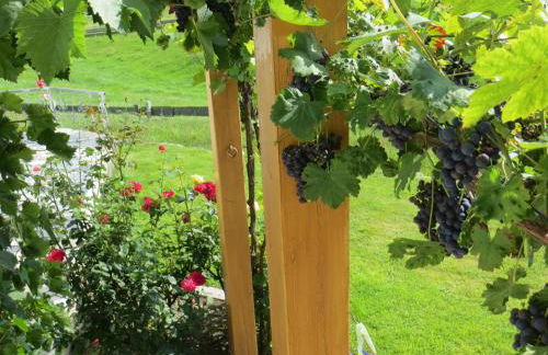 Haus Spiessl - Foto 19