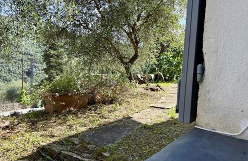 HOST4U - A Beautiful Gardened Maria's House - Foto 20