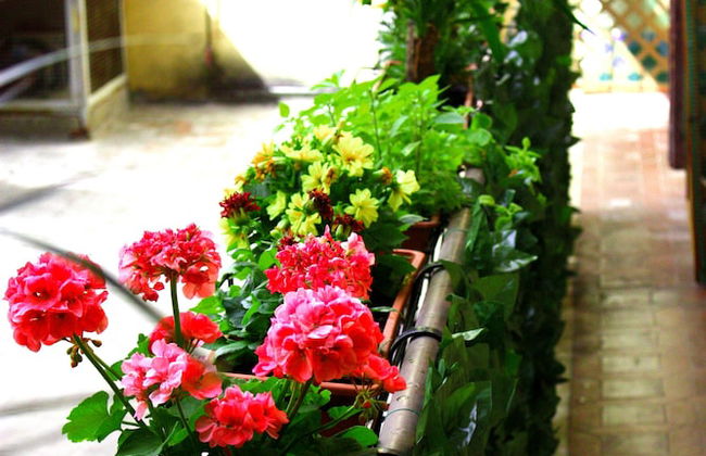 Legend R. G. - Foto 36