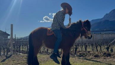 Lochererhof - Foto 4