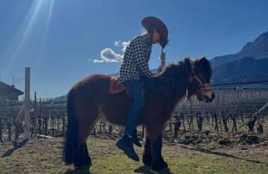 Lochererhof - Foto 4