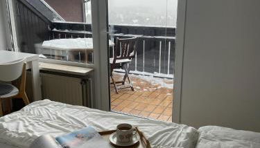 Gemütliche Ferienwohnung Harz Braunlage Hohegeiß - Foto 2