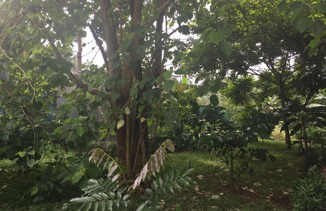 Amadi Villa - Photo 25