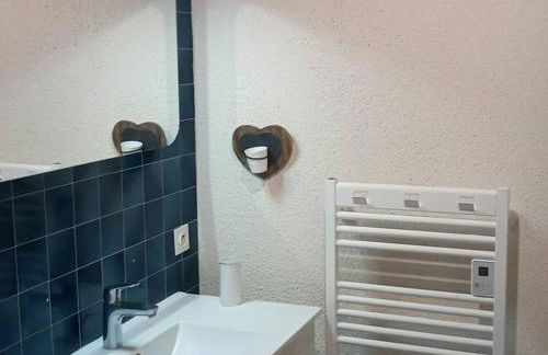 Duplex 3 Pièces avec Piscine à Saint-Jean-d'Aulps, 6 Pers - FR-1-573-25 - Foto 19