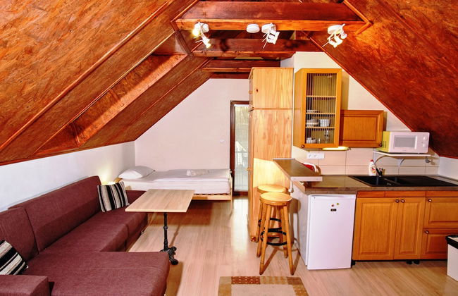 Apart & Wellness Hotel VILLA IVICA - Foto 33