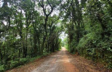 Chalé do Lopo - Photo 47