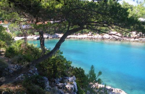 Apartments Basina - Foto 51