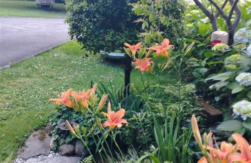 Sentirsi a casa, lontano da casa-feel at home away from home - Foto 26