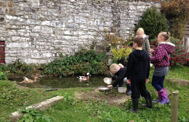 Cosy Stone Cottage on Llanllwni Mountain - Photo 13