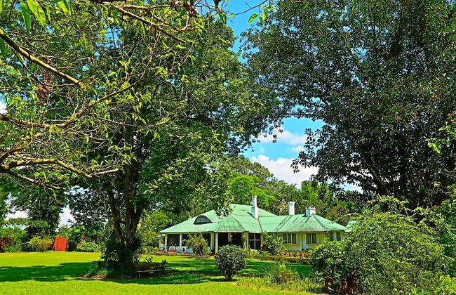 Wild Mahseer - Foto 38