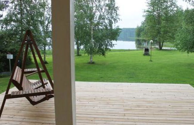 Keltavuokko - Foto 20