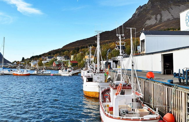 4 Person Holiday Home in Skatvik-by Traum - Foto 28