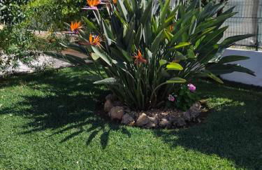 Vila Isabel - Foto 65