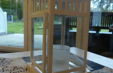 Ostsee-Wiesenpieper (Graal-Müritz) - Foto 30