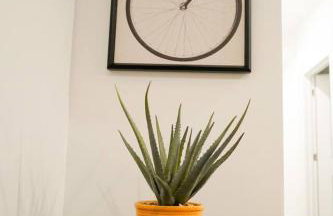 Wabi Sabi - Photo 18