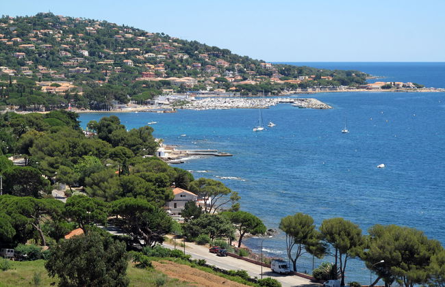 Le Petit Olivier - Foto 29