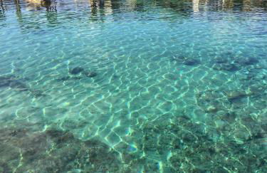 Apartamentos DELFIN - Photo 13