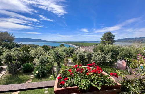 Casa Oliva Ansedonia - Foto 5