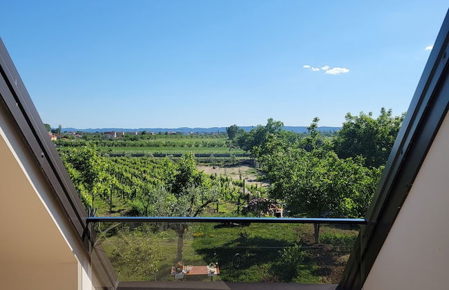 Lahuta e Vjetër Agroturizëm - Foto 50