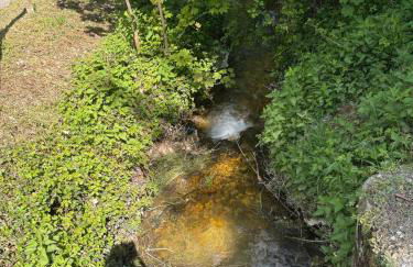 Il Giardino di Sant'Eufemia - Foto 58