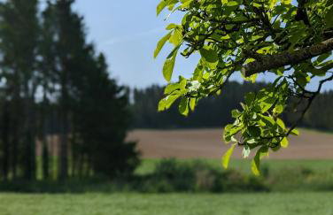 Ferienunterkunft Heimatfleckerl - Foto 43