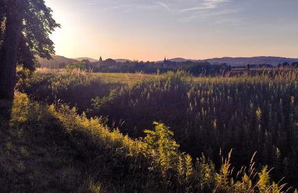 Chwile w Starym Sączu, sauna i beczka - Foto 44