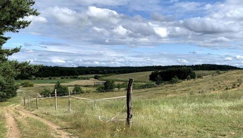 Helle Loft mit eingenem Garten - Foto 2