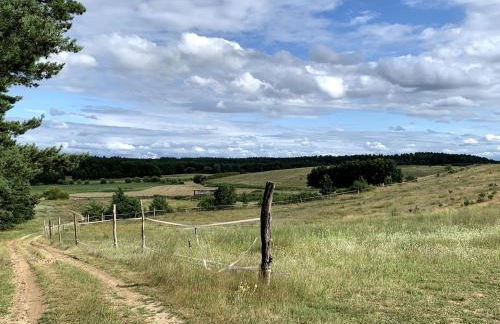 Helle Loft mit eingenem Garten - Photo 2