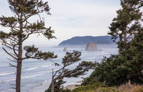 Cannon beach vibes, steps to the beach,WIFI,3 full bedroom en suites with 3 fireplaces,Near Downtown - Photo 15