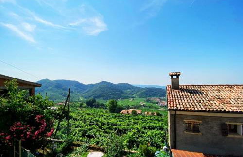 ValdoCaban: Oasis among the Vines - Foto 16