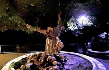 La Casa di Rorò - Foto 46