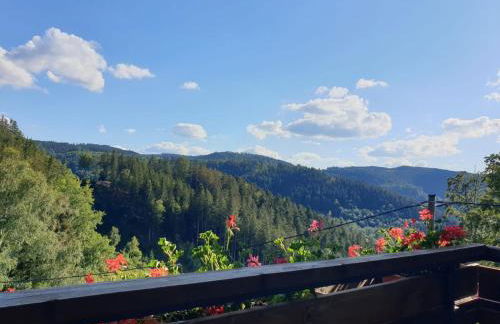 Landhaus Valentin - Foto 37