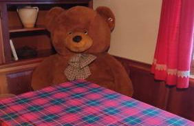 Mansarda dell'orso - Foto 14