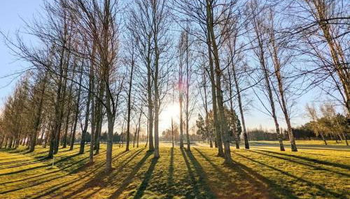 Lakeside View - Foto 4