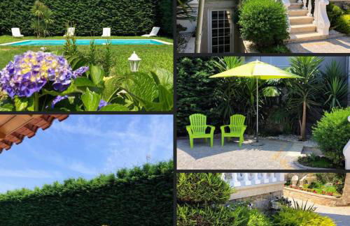 Casa Pedro e Ines - Foto 30